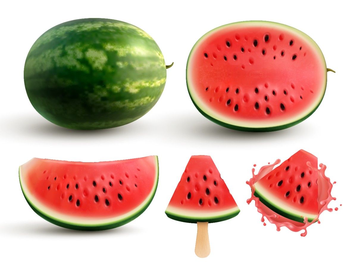 watermelan