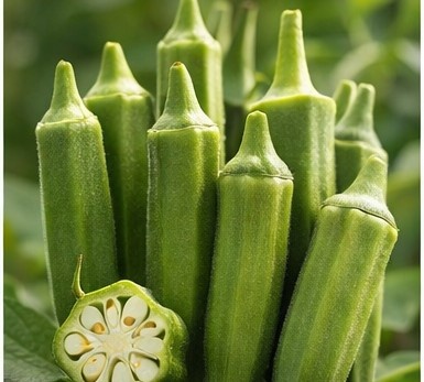 Okra Premium