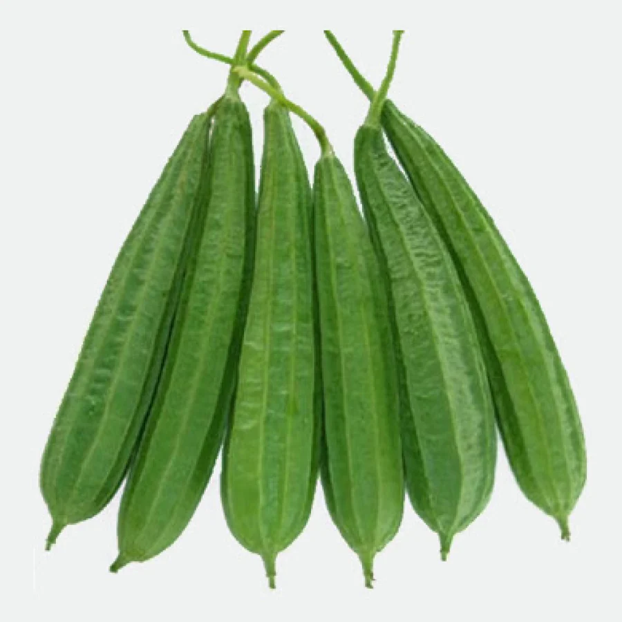 Ridge Gourd